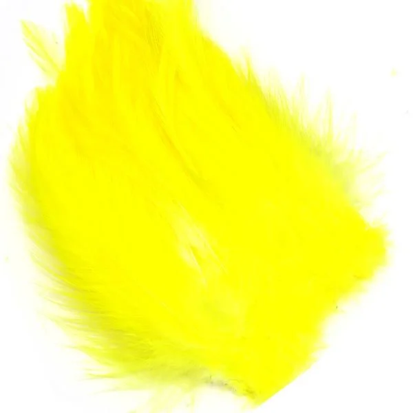 fiskedags202606080957073229355