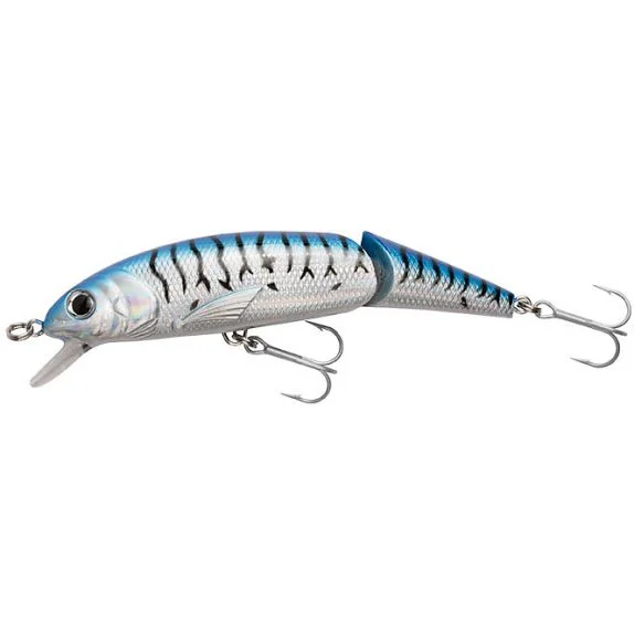 fiskedags202606081000263229553