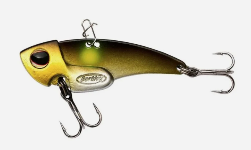 fiskedags202606081013383230569