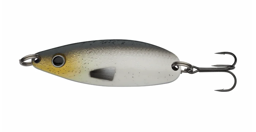 fiskedags202606081013433230575