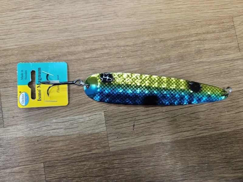 fiskedags202606081023063231579