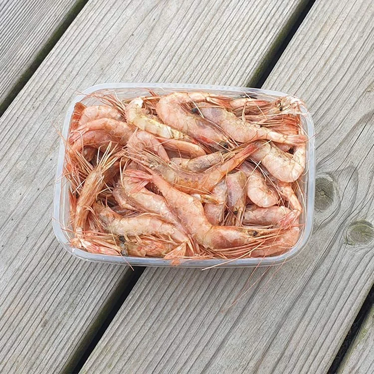 fiskedags202606081025323231869