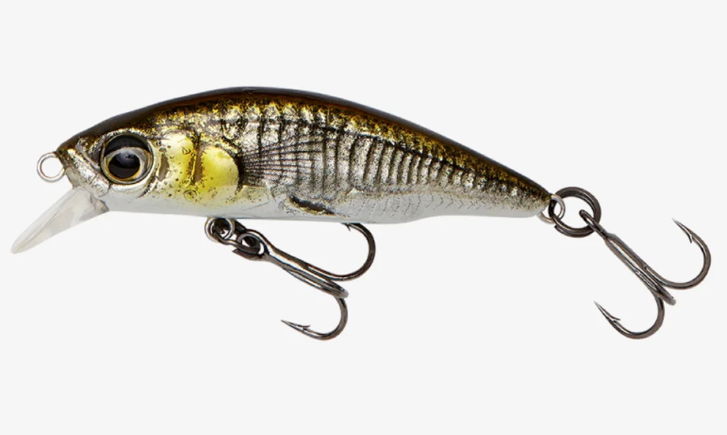 fiskedags202606081029313232303