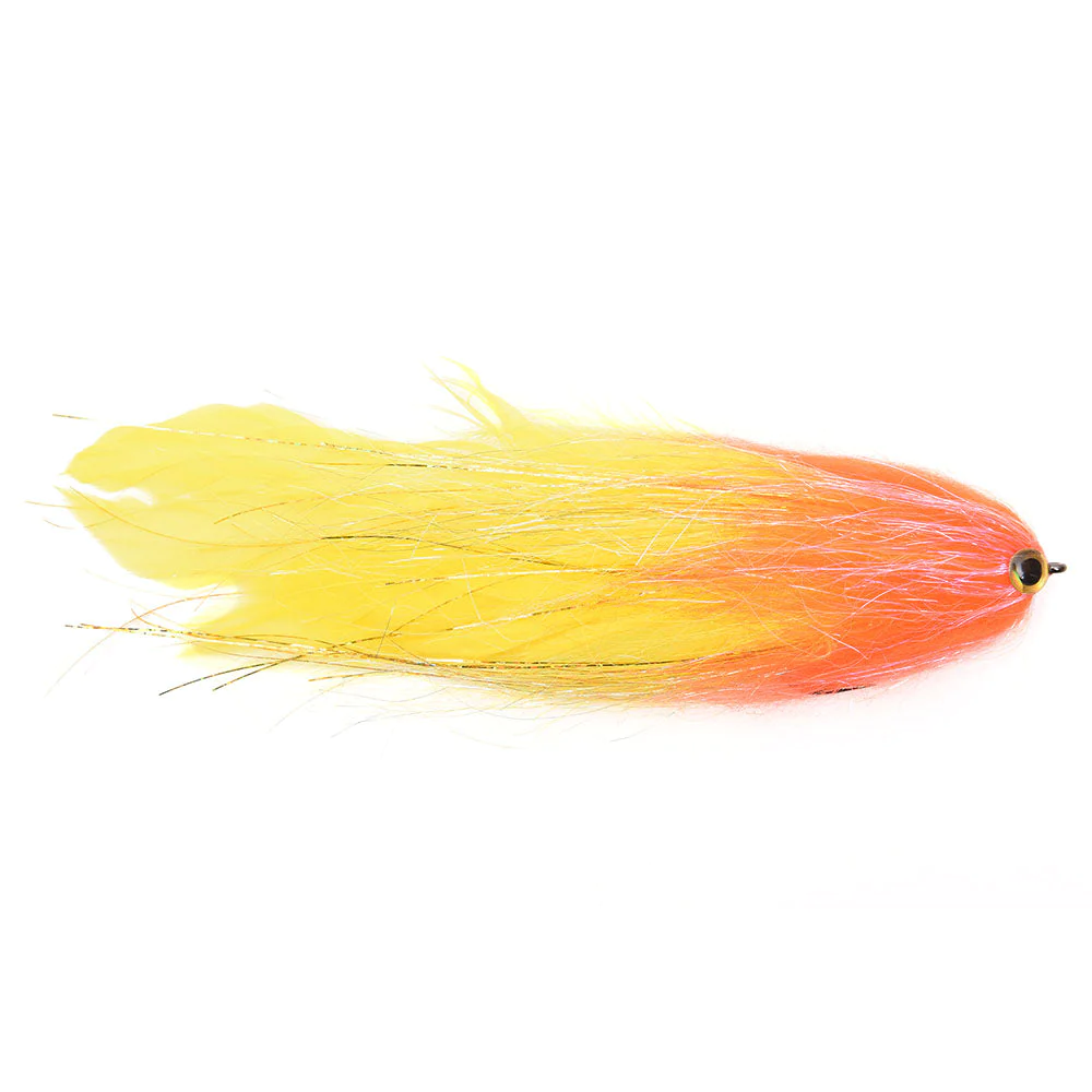 fiskedags202606081031493232569