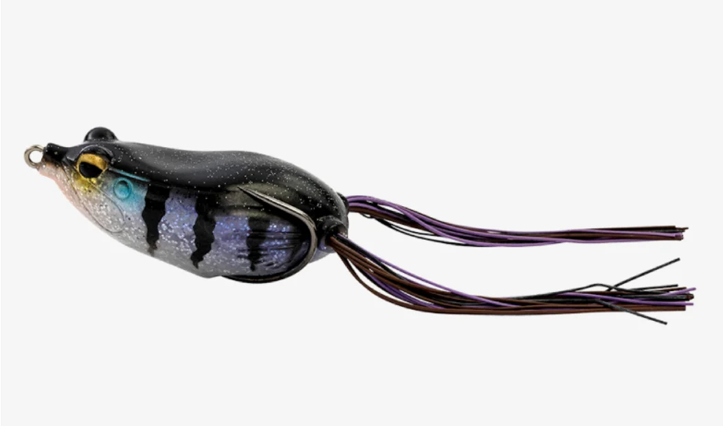 fiskedags202606081033093232789