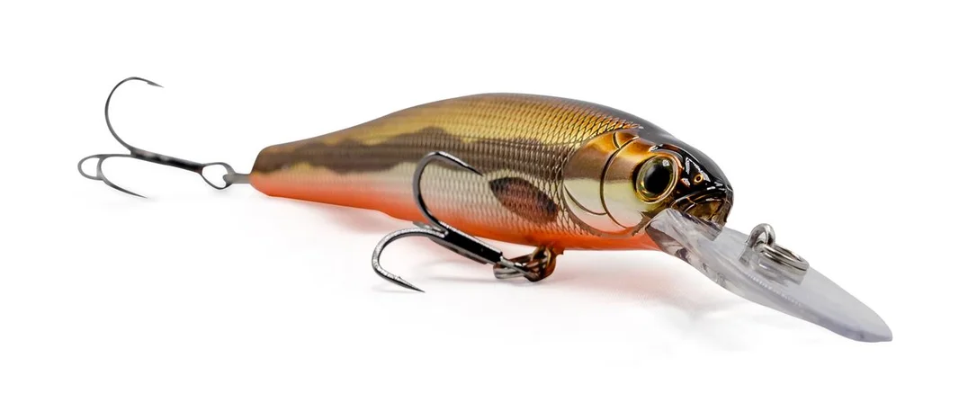 fiskedags202606081035083233146