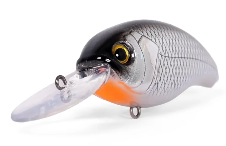 fiskedags202606081035163233169