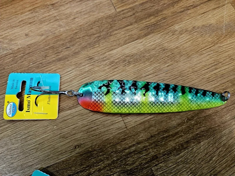 fiskedags202606081040123234012