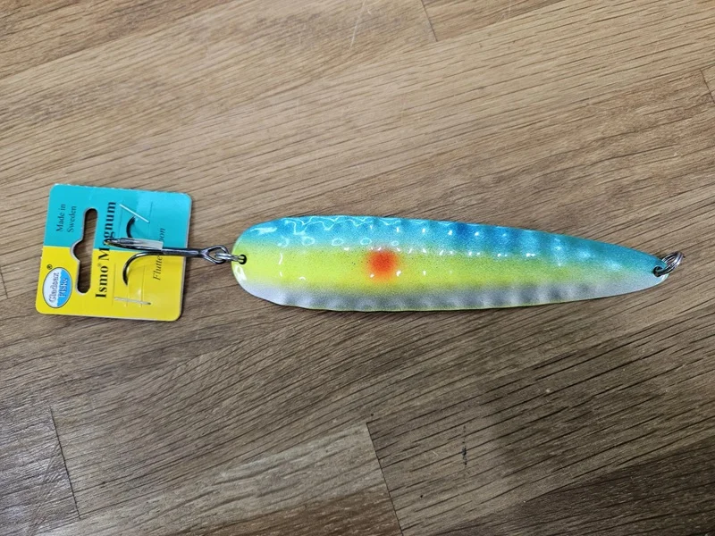 fiskedags202606081040273234047