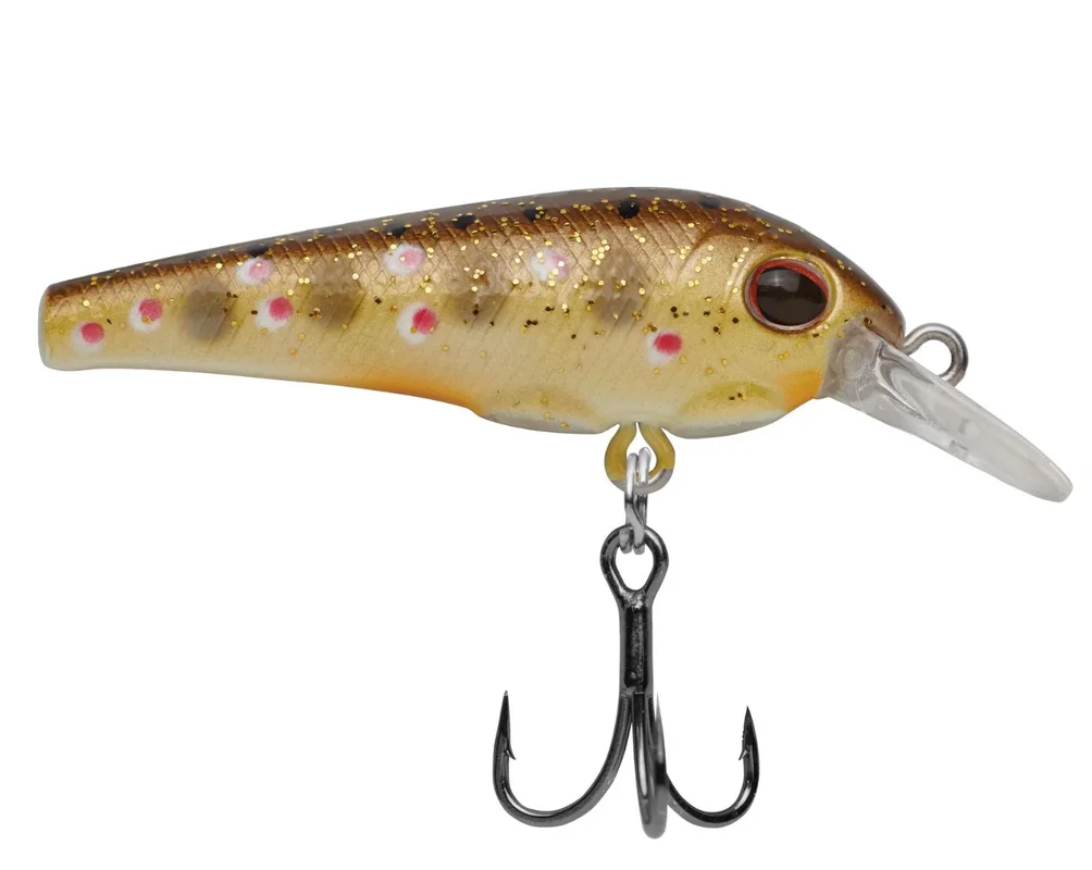 fiskedags202606081048333235259