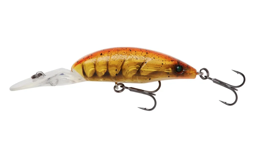 fiskedags202606081049073235327