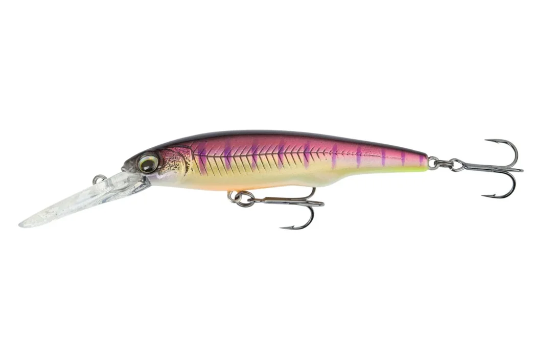fiskedags202606081054443236095