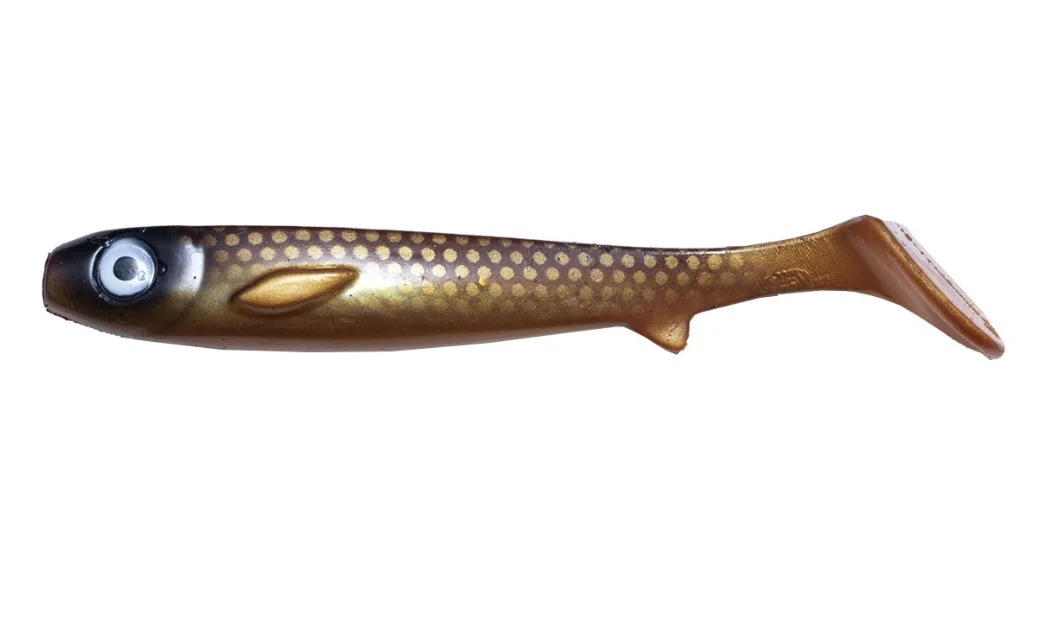 fiskedags202606081055213236169