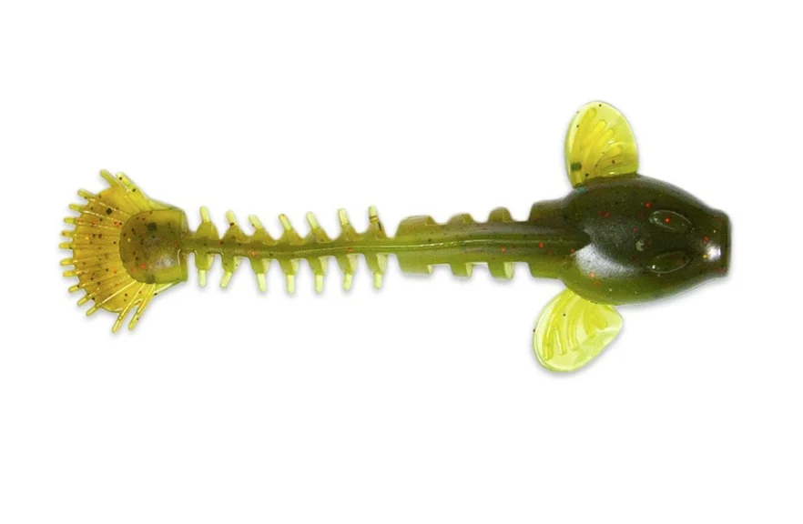 fiskedags202606081055223236172