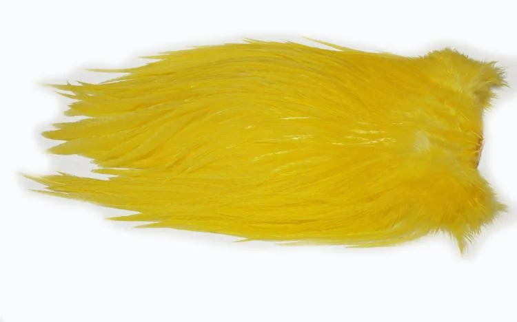 fiskedags202606081056513236340