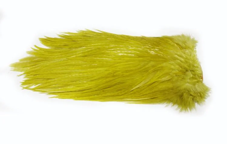 fiskedags202606081056563236351