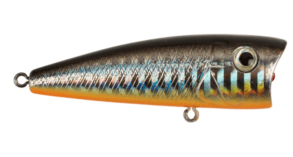 fiskedags202606081057563236480
