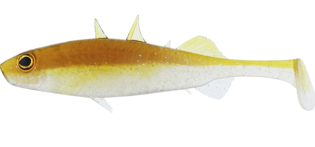 fiskedags202606081100063236814