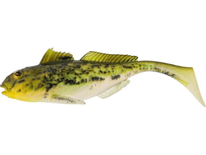 fiskedags202606081104433237508