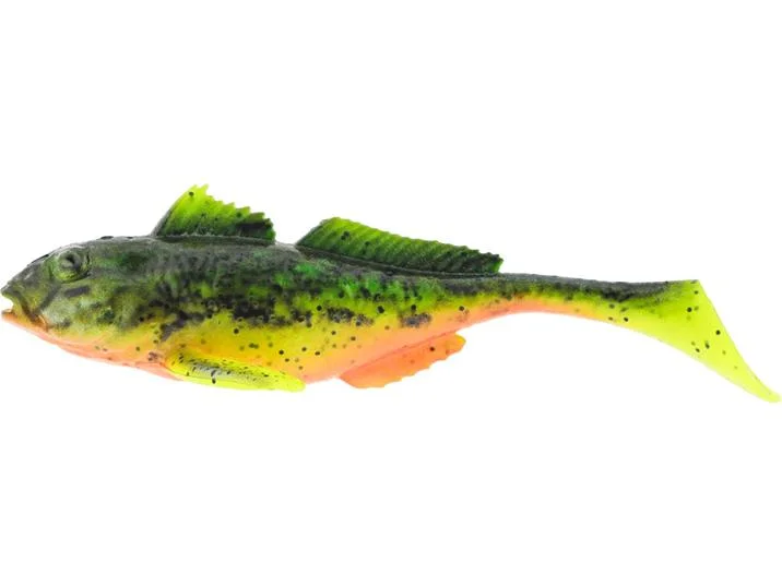 fiskedags202606081104453237513