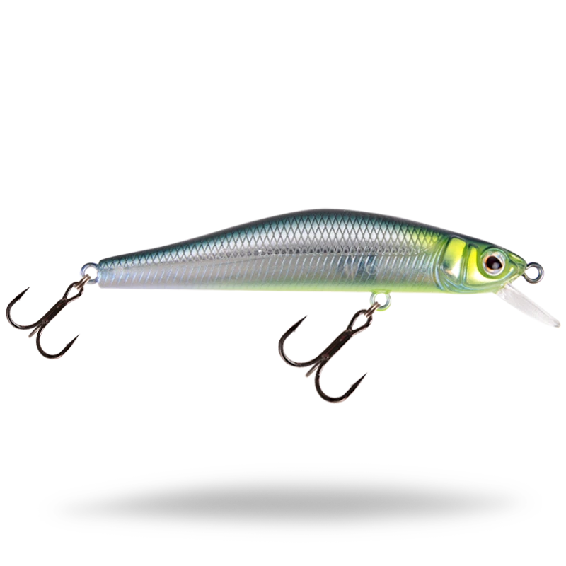fiskedags202606081107393237991