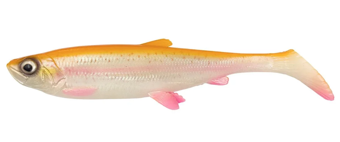 fiskedags202606081109043238229