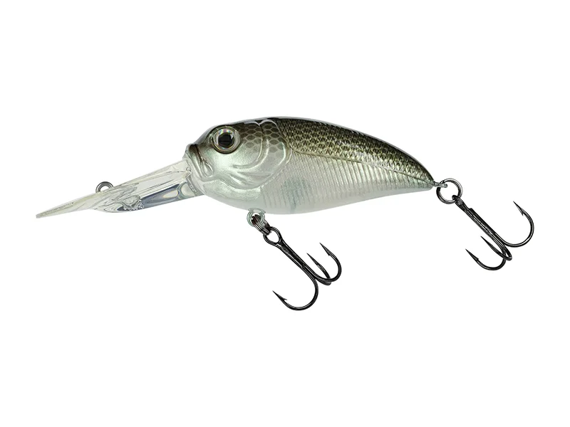 fiskedags202606081113553239039