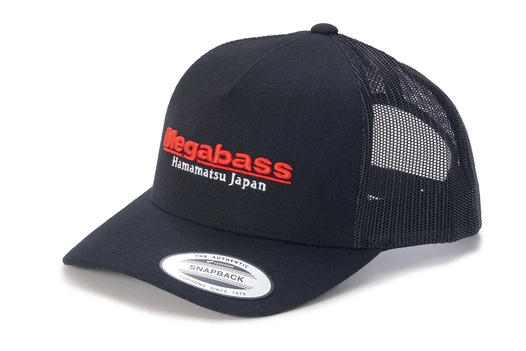 fiskedags202606081114093239073