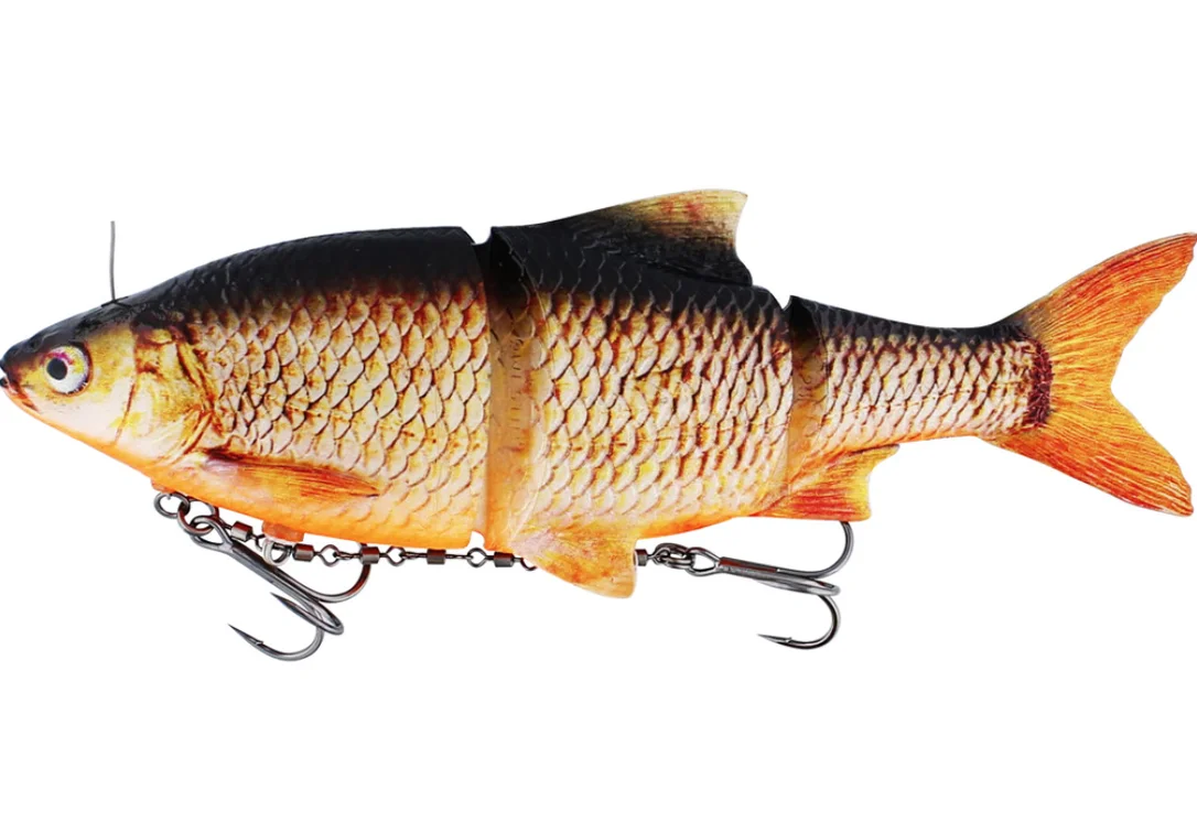 fiskedags202606081115173239214
