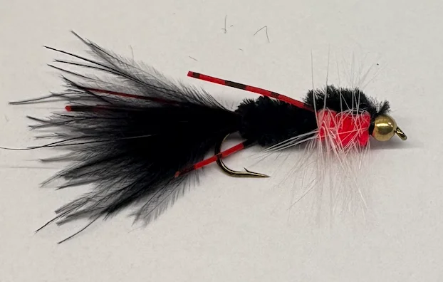 fiskedags202606081115473239285