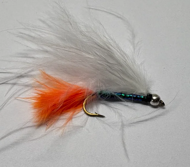 fiskedags202606081116023239318
