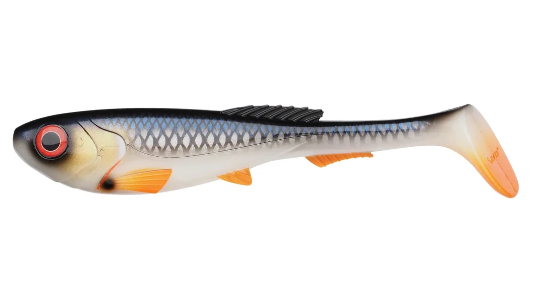 fiskedags202606081119223239774