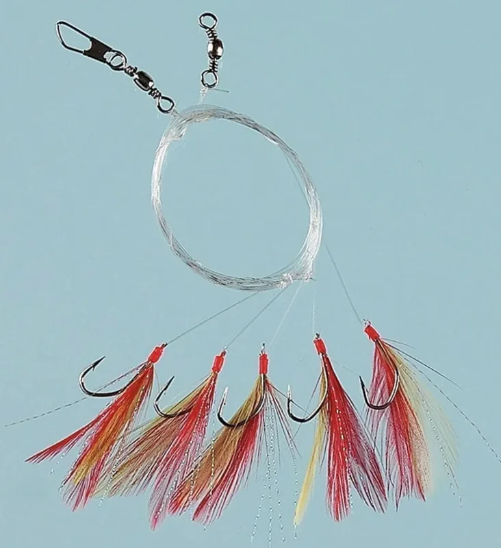 fiskedags202606081120453239995