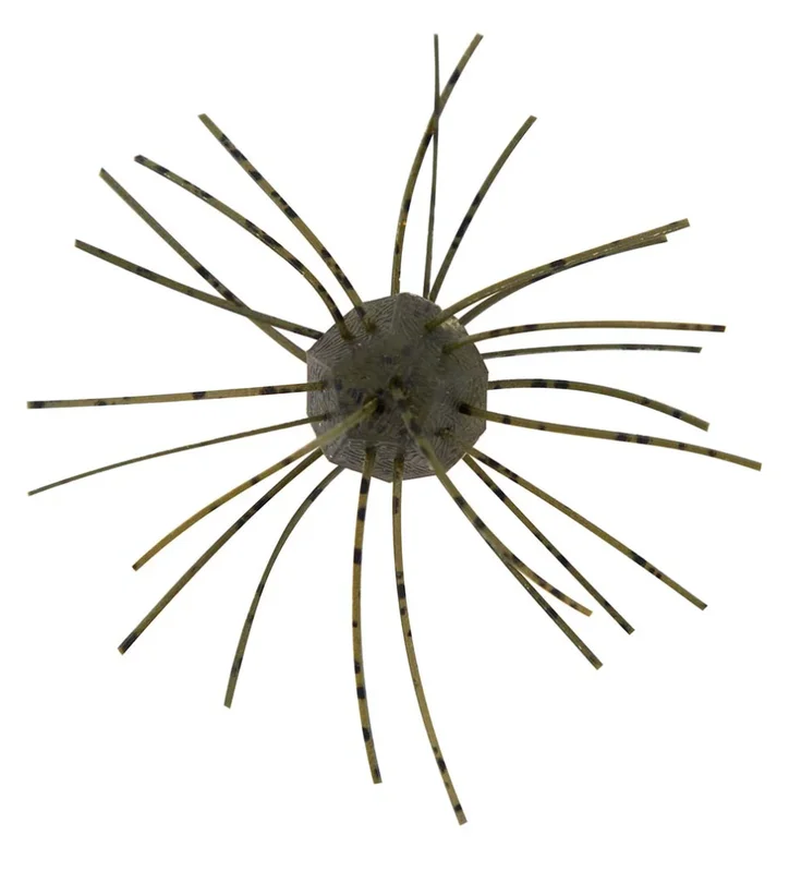 fiskedags202606081124063240516