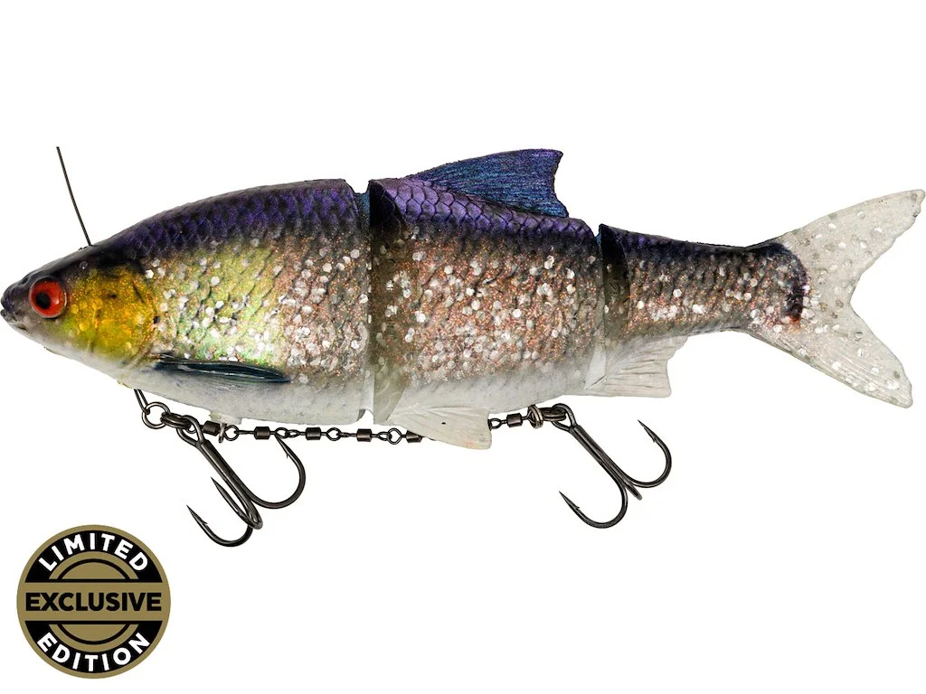 fiskedags202606081126183240817