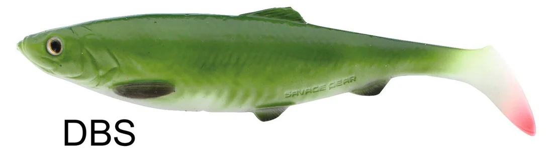 fiskedags202606081129023241296