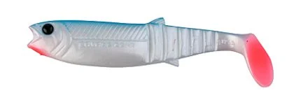 fiskedags202606081129043241303