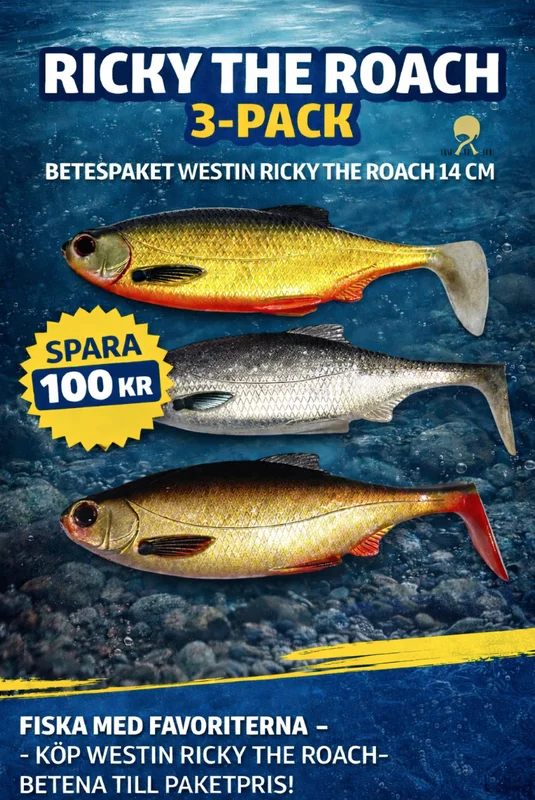 fiskedags202606081129493241421