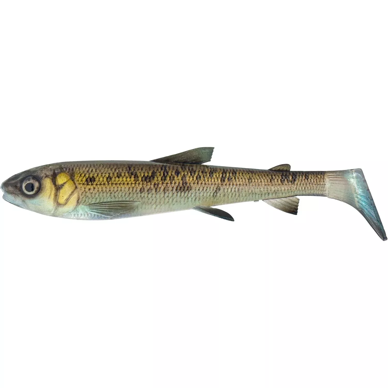 fiskedags202606081130333241540