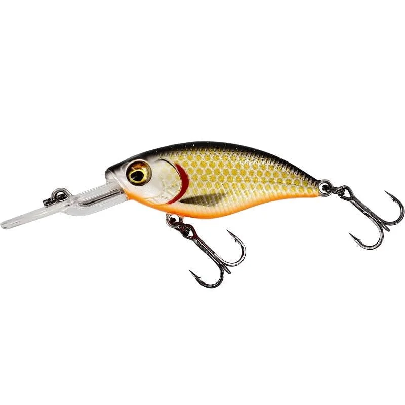 fiskeonline202606081114293239117