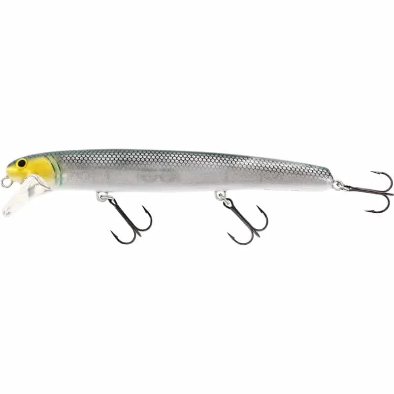 fiskeonline202606081237503252161