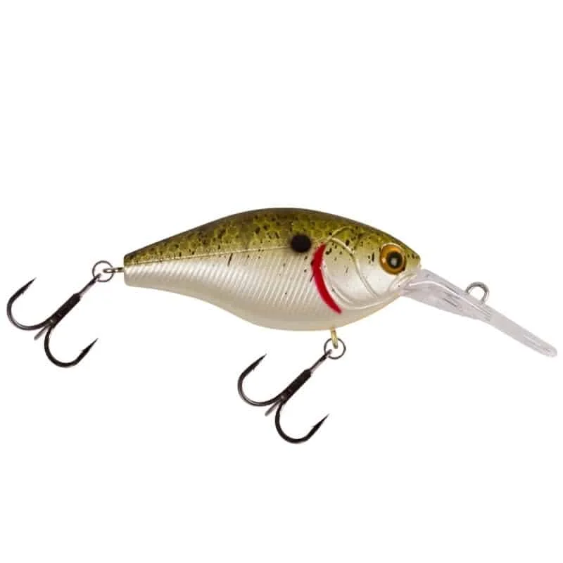 fiskeonline202606081308393258378