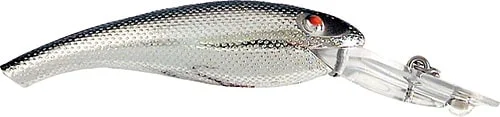 olssonsfiske202606081119173239761