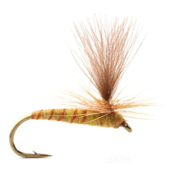 sportfiskeprylar202606081150123244397