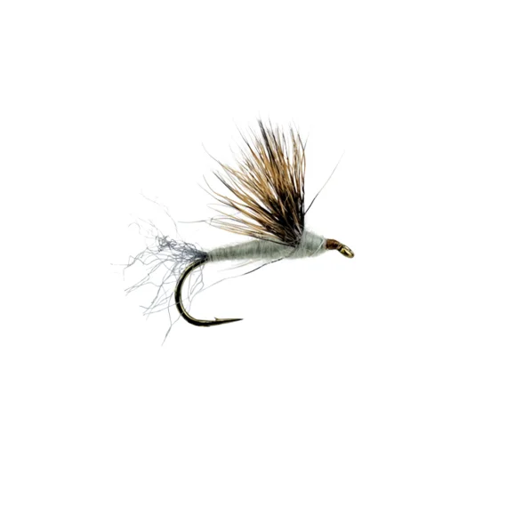 sportfiskeprylar202606081921023322599