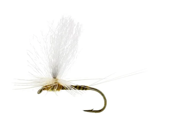 sportfiskeprylar202606081939413326685