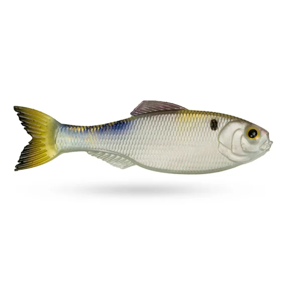 sportfiskeprylar202606082226203348287