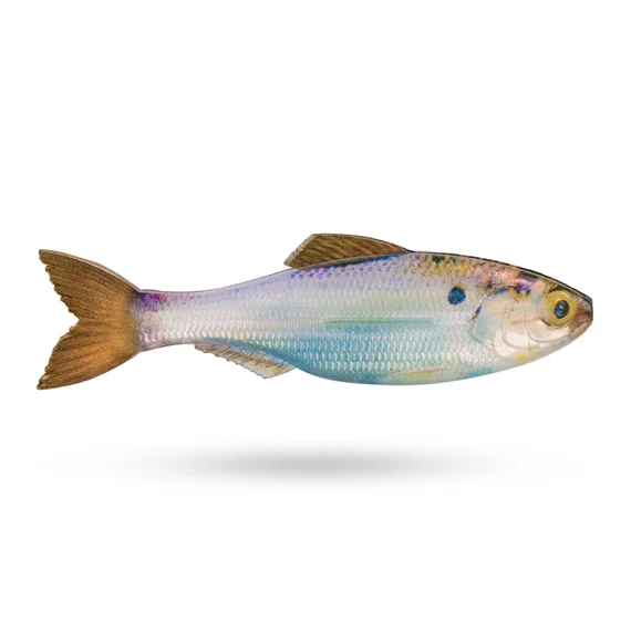 sportfiskeprylar202606082226213348288
