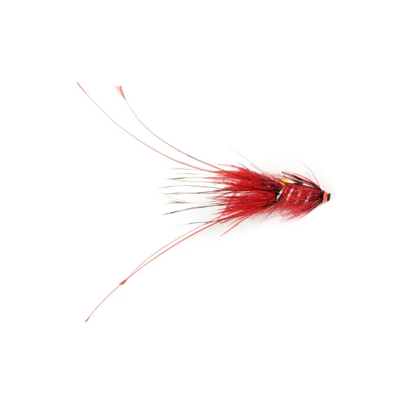 sportfiskeprylar202606082241293350043